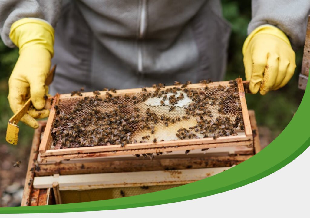 IPM Tech Pest Control Worker Removing Bee Hive from Business